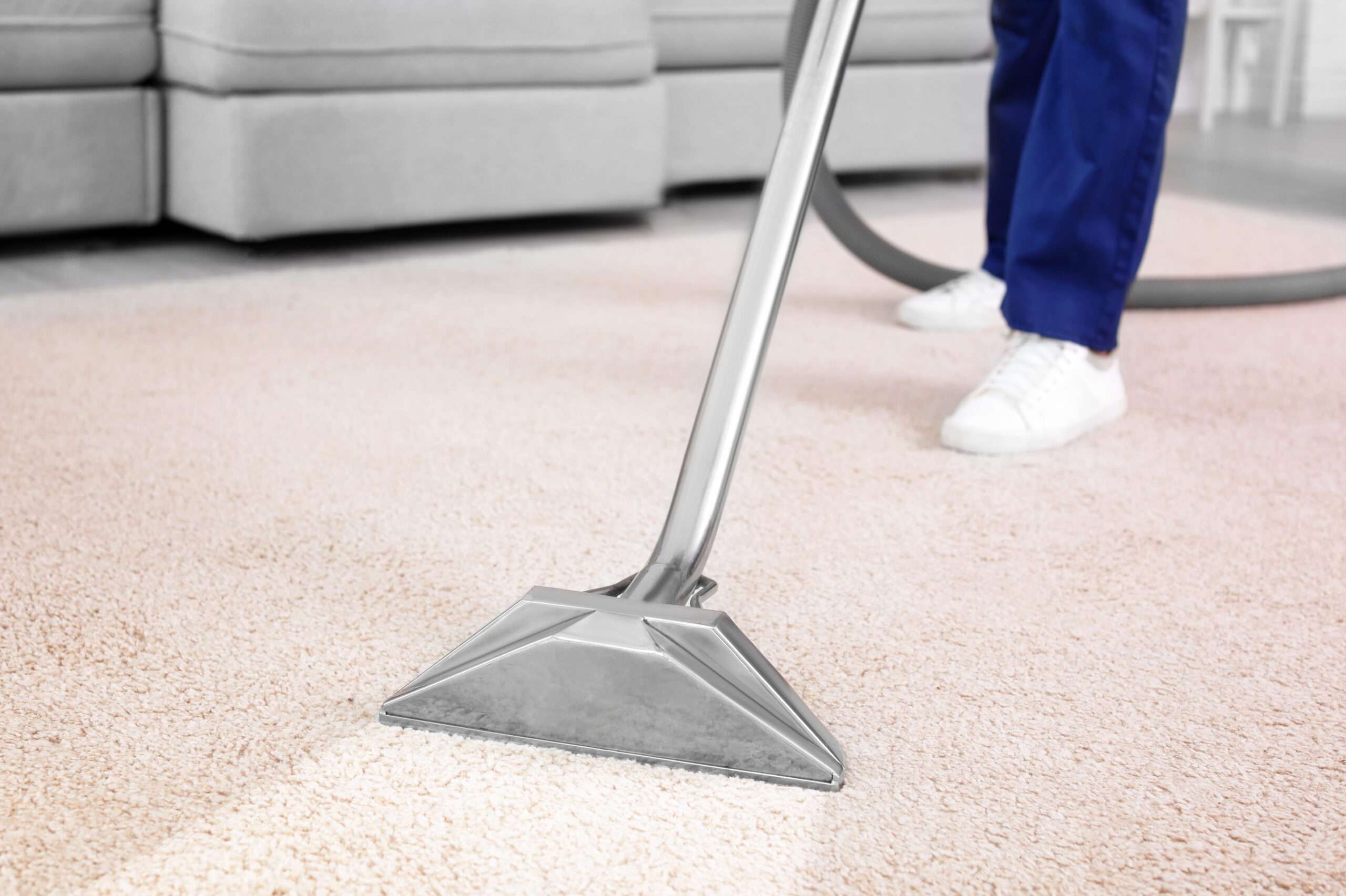 Team Cleaning Gebäudereinigung GmbH